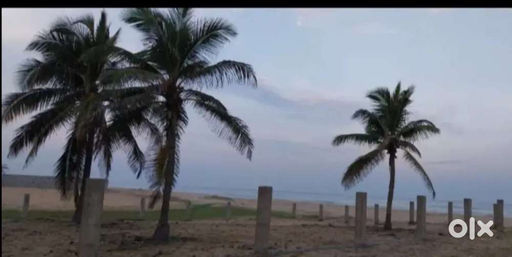 1000 sqft pakka beach view resale plot near marakanam