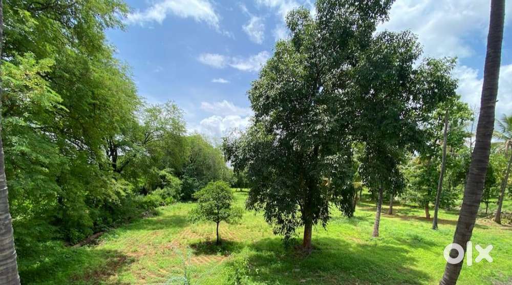 Aroma Sandolo Farmland – One-Time Investment, Lifetime Returns!