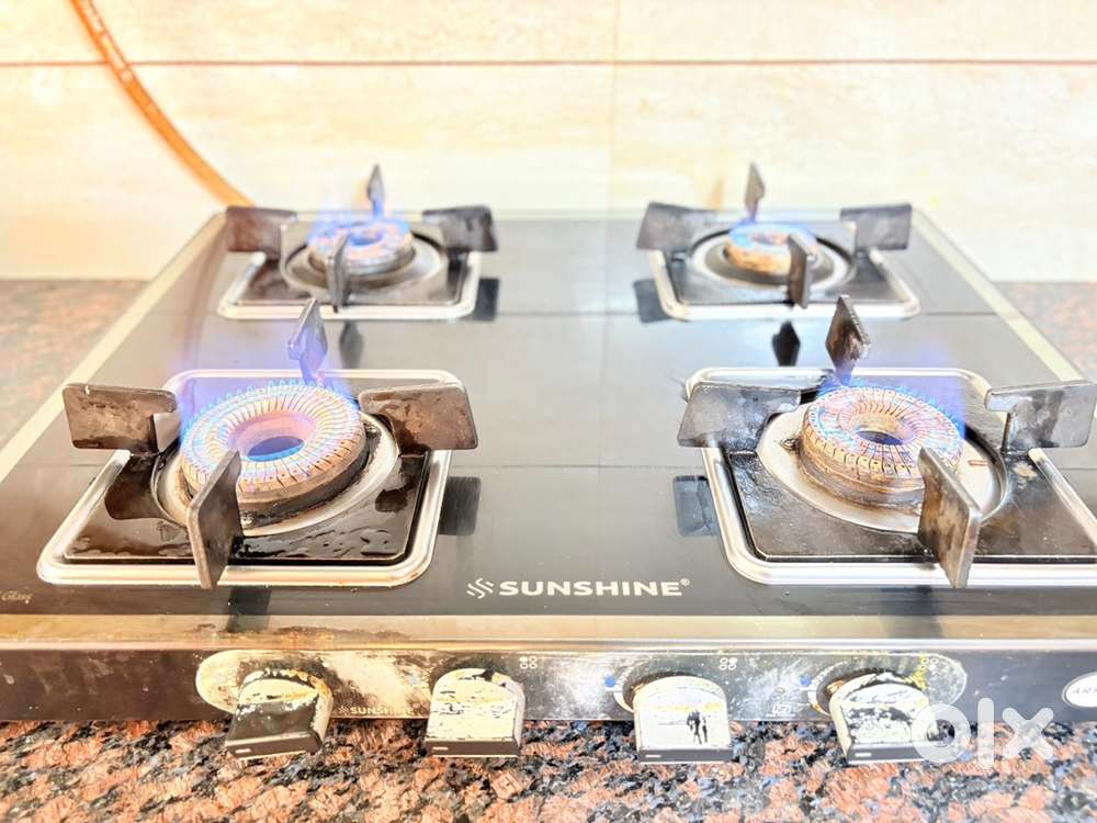 4 gastove burner