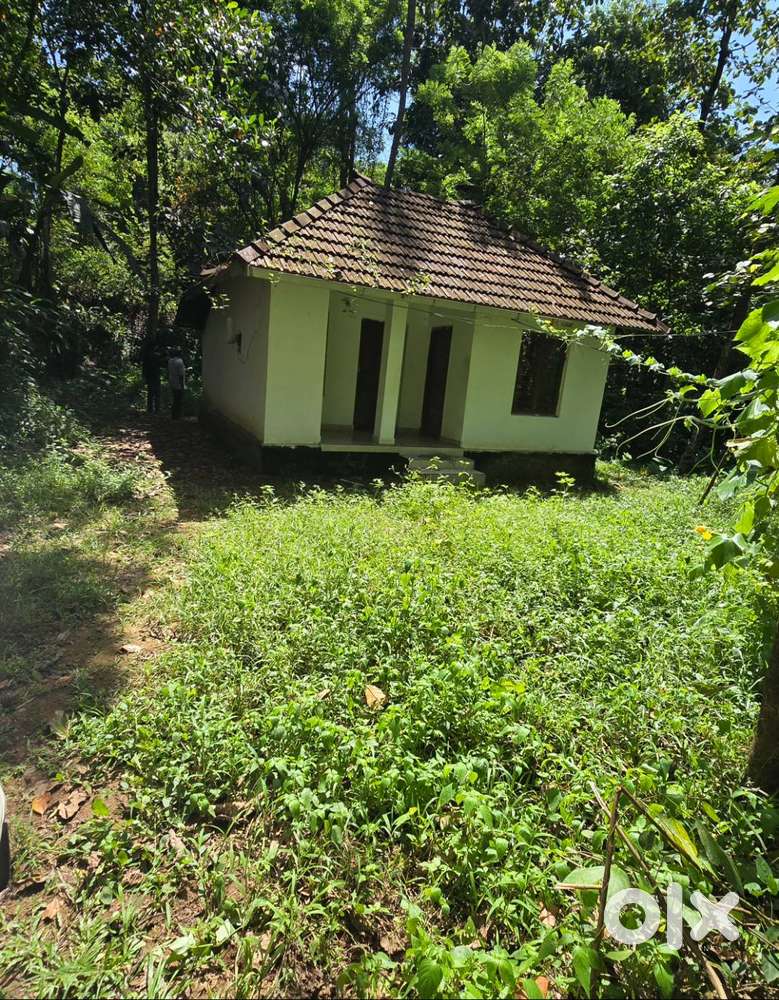 House in 10 cent plot