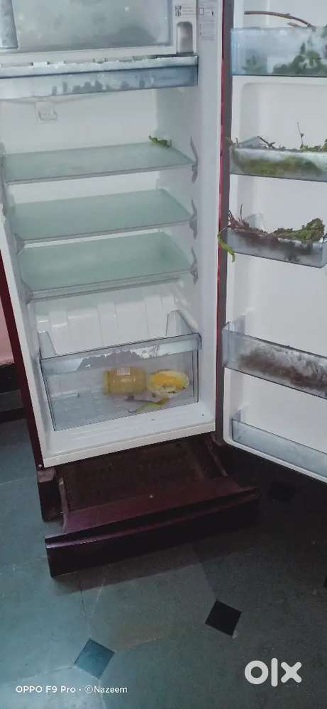 Haier refrigerator only 13000