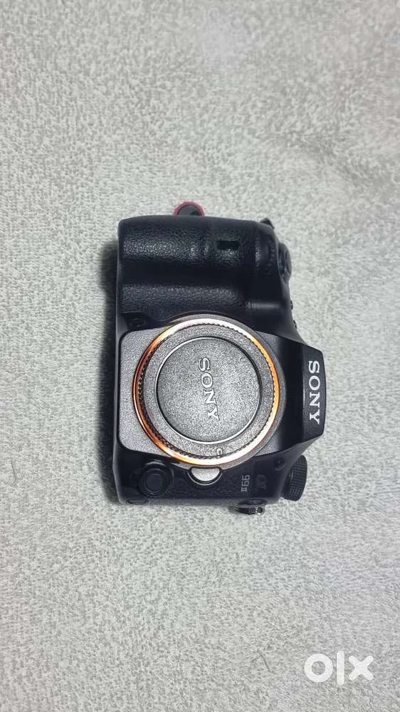 Sony dslr with super tele lens