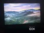 SAMSUNG 24 inch FHD Essentials Monitor