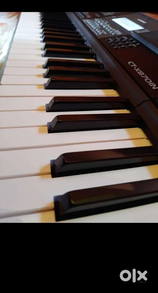 Casio 870-in portable keyboard