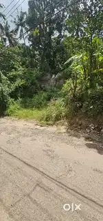 3.7 cent plot for sale nelliyodu