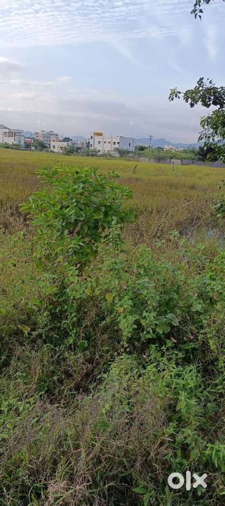 VADAMAALAPETA GATED COMMUNITY TUDA APPROVAL LAYOUT EAST FACING