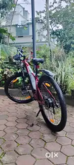 Electric Bicycle - Emotorad T Rex Air 29 inch