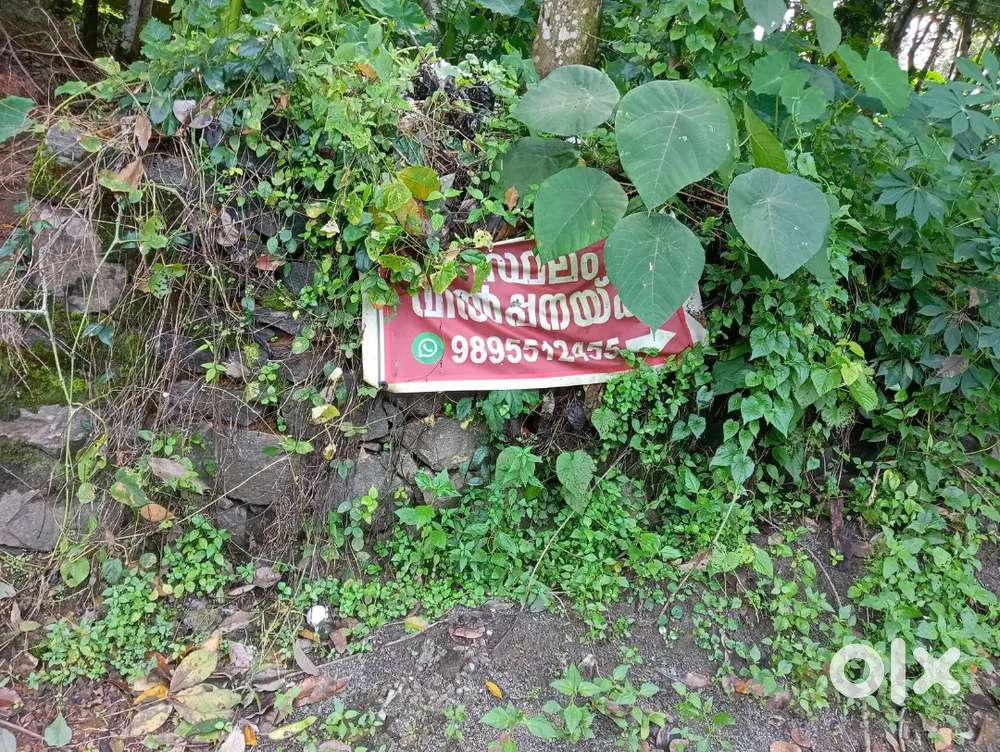 Residential plot for sale in kottayam