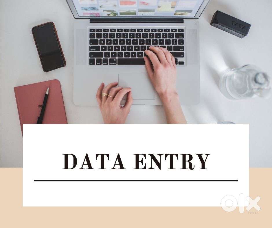 Data Entry Expert