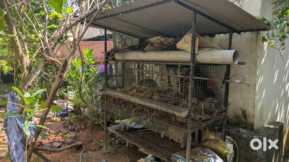 Sheet roof Kozhykode