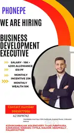BUSINESS DEVELOPMENT EXECUTIVE