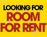 Room required for me in jaydev vihar square,IRC village Nayapalli