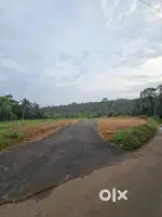 78 Cent Residential land for sale in Mangalakkal Kattakada
