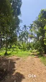 15 cent housing plot for sale at kizhakumkara- athiyamboor
