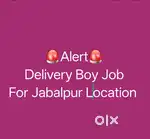 Delivery boy job