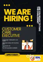 Customer care executive