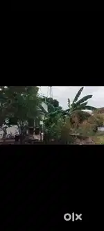 House for sale, Manapparai, Mastan Street, near EB office, 
House