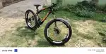 Gallus Sport