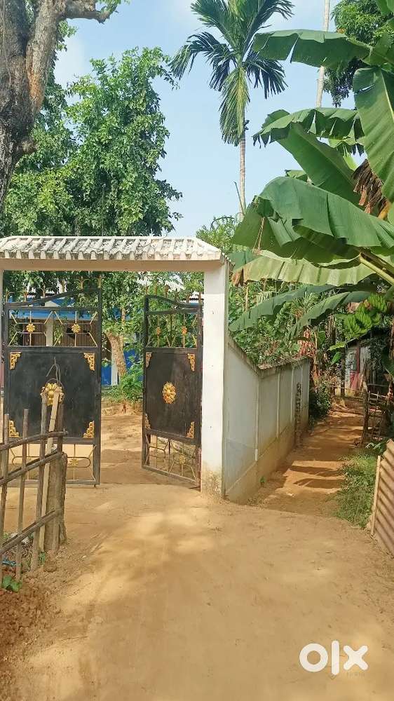 Complete wark home with 16 katta patta  plot