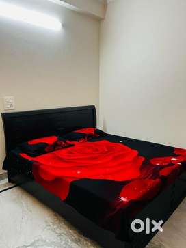 Fully Furnished 1 Room With Attached Washroom