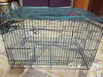 Birds cage