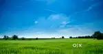 Plot sell in kariya society,morbi