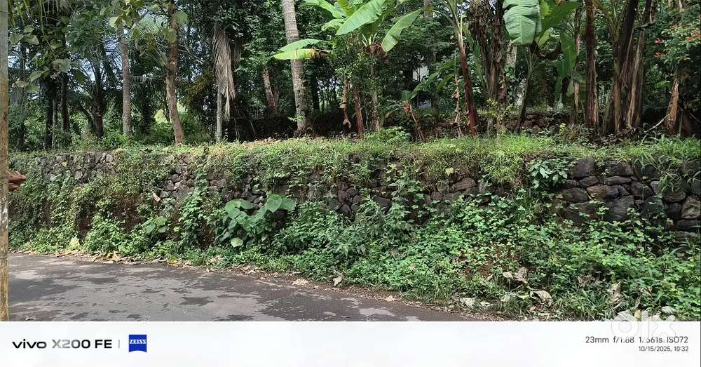 Prime plot for sale, kunamangalam town
