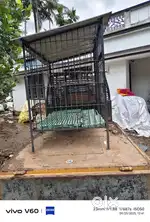 Pups cage house