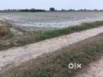 Buy Agriculture Land in Sonipat – Clear Title & Best Price