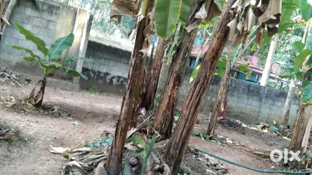 16 cent for sale in vizhinjam