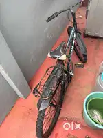 Normal bycle