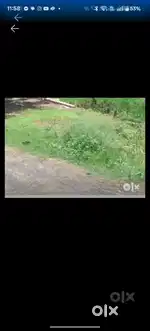 It's my land