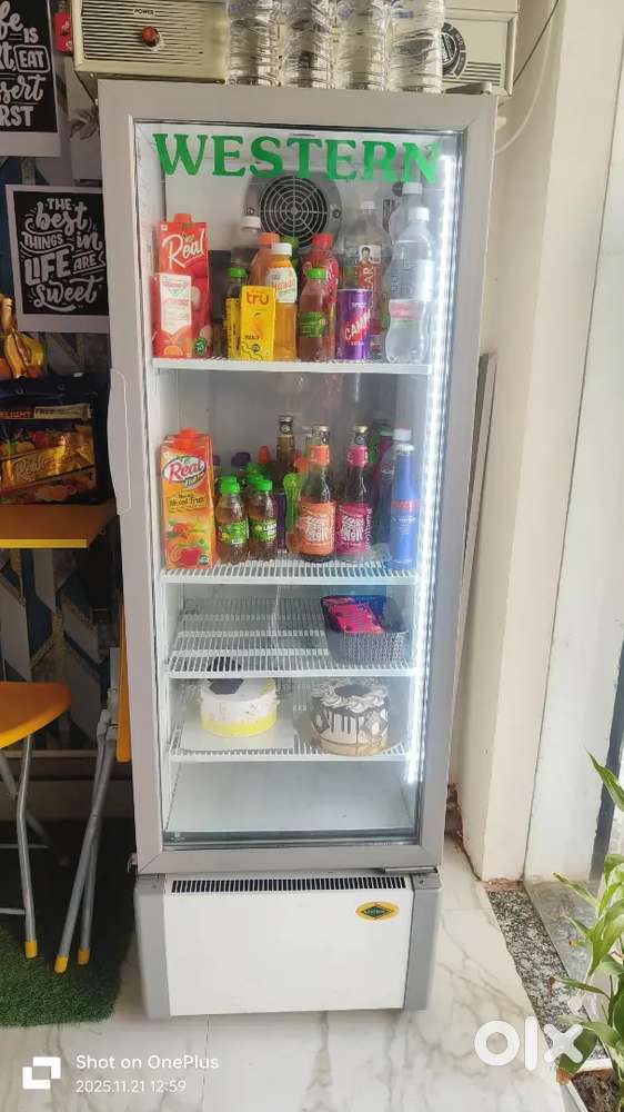 216 Ltr Western Display Fridge and 150 ltr Deep Fridge
