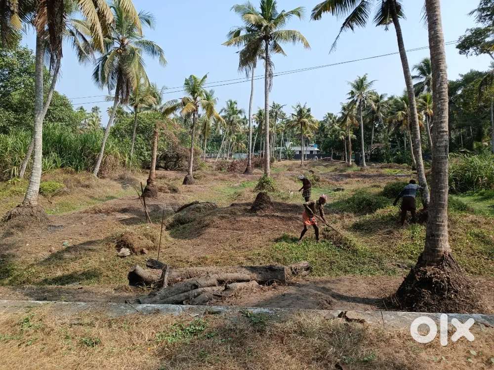 Land for sale in kaipamangalam near grand auditorium