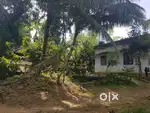 House sale