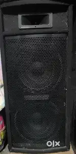 Speaker double 12 inch