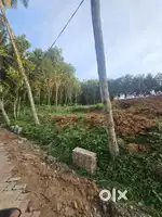 Plot for Sale near thirparappu to kulasekaram