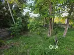 15 cent residential prime plot in karyavattom