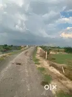 LAND 8 BISWA APPROX 1200 SQ YARD ON  DAMAR ROAD