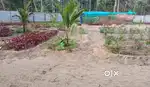 ചേർത്തല CMS ബിഷപ്പ് മൂർ സ്കൂളിന് സമീപം 10 സെന്റ്  Sale