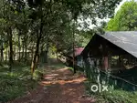 2.77 acres of land with rubber plantation and poultry farm
