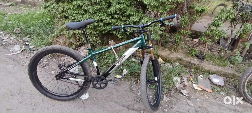 New cycle ,,1 month old