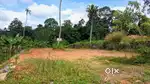 ദേശീയ പാതയോട് ചേർന്ന് 15 സെൻ്റ്
