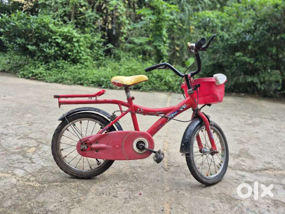 Upgrade new big size