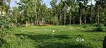 13 CENT PROPERTY PALLLIKKARA MORAKKALA / KAKKANAD 9.5 KM ONLY