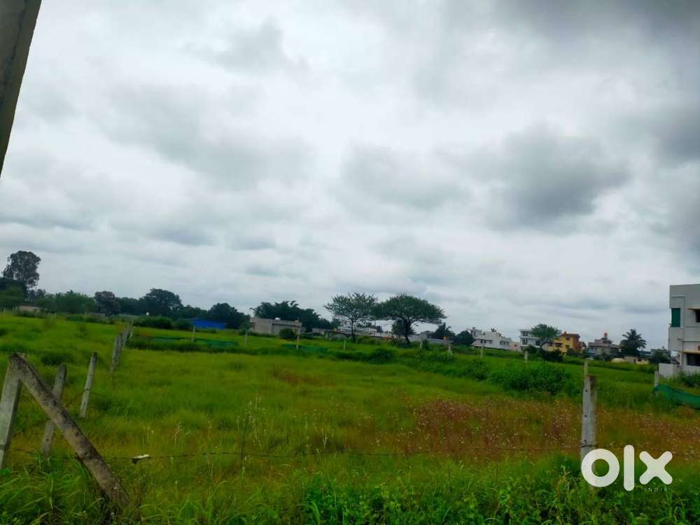 North facing plot with road in front.Electricity and water pipeline.