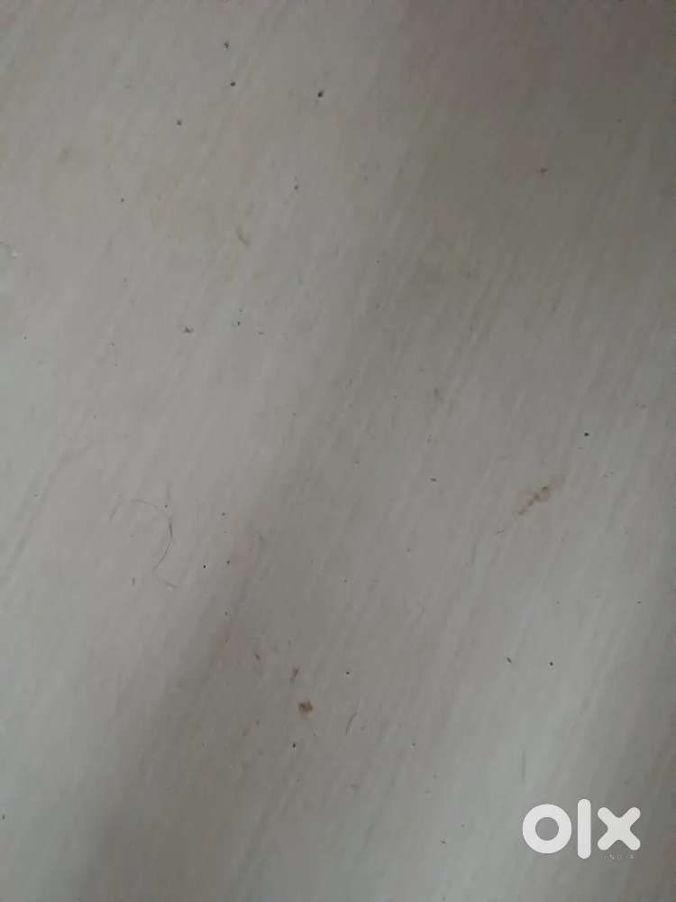 ചെമ്മക്കാട് ആശാരിമുക്കിൽ 10 cent squire വസ്തു വില്പനക്ക്