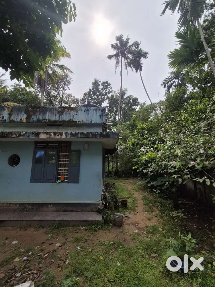 12 cent plot and house