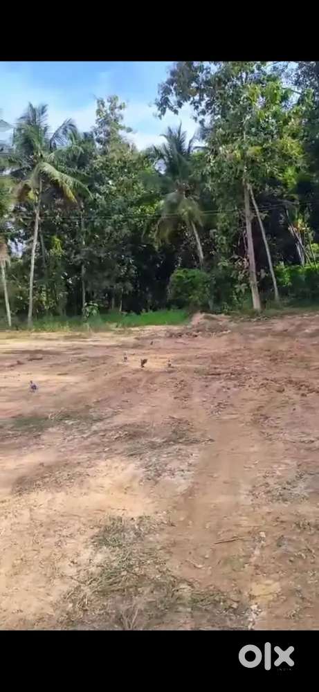 ആക്കുളം ബൈപാസ് ൽ നിന്ന് 800m മാറി 32സെന്റ് വസ്തു വില്പനക്ക് squar plot
