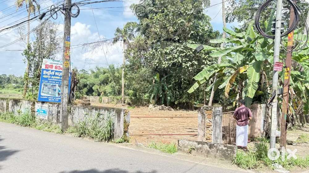 Kanjikkuzi Kottayam.junction.corner plot